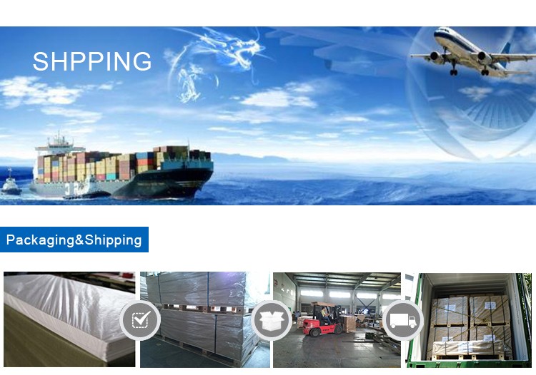 Paidu Group ABS BOARD ABS Plastic Sheet For ABS Vacuum Forming