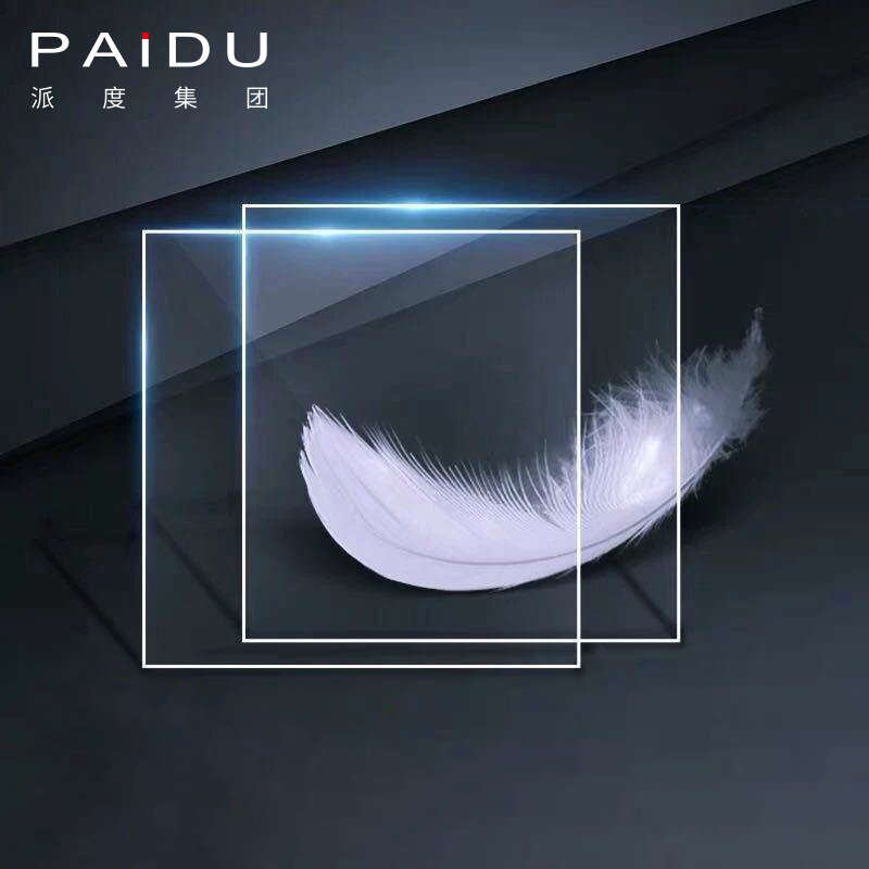 Paidu Group Unleash Your Creativity with Our State-of-the-Art Acrylic Plastic Sheet Factory